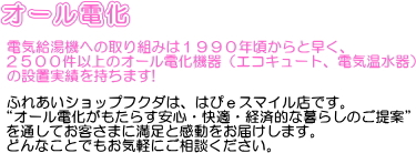�I�[���d���F�d�C�����@�ւ̎��g�݂�1990�N������Ƒ����A1000���ȏ�̃I�[���d���@��i�G�R�L���[�g�A�d�C������j�̐ݒu���т������܂��I