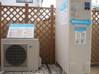 �I�[���d���E�G�R�L���[�g